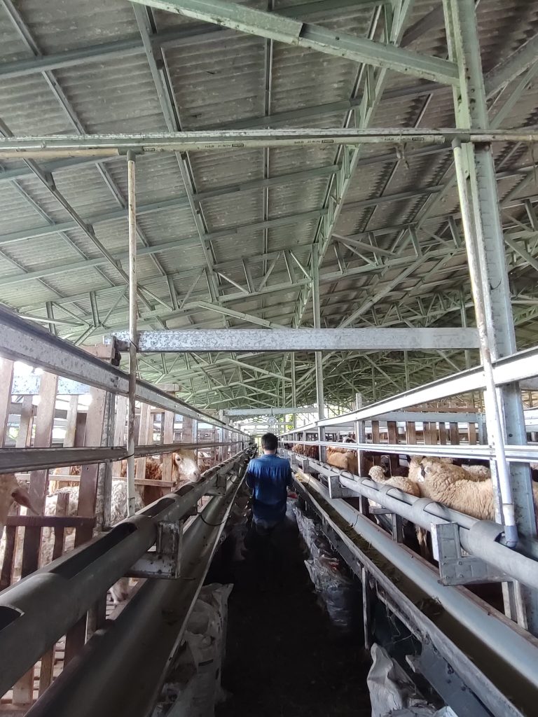 Kunjungan ke Dompet Dhuafa Farm, Sentra Ternak yang Dipadukan dengan Konsep Edufarm